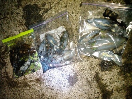 ゴミまみれでした